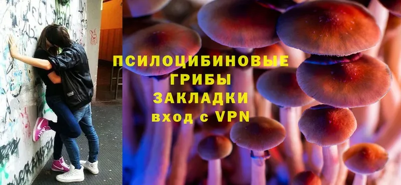 blacksprut как войти  Карабаново  Псилоцибиновые грибы Magic Shrooms 